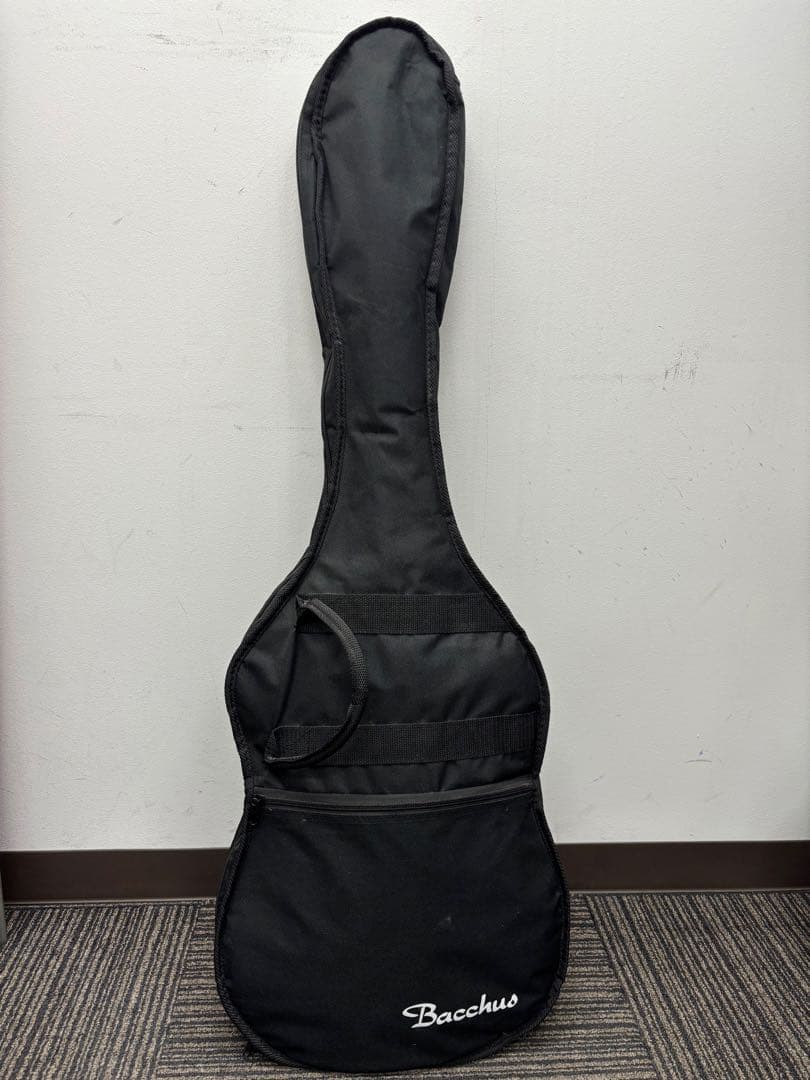 パ*ー様 エレキギター Bacchus Live Road BLS-700FM