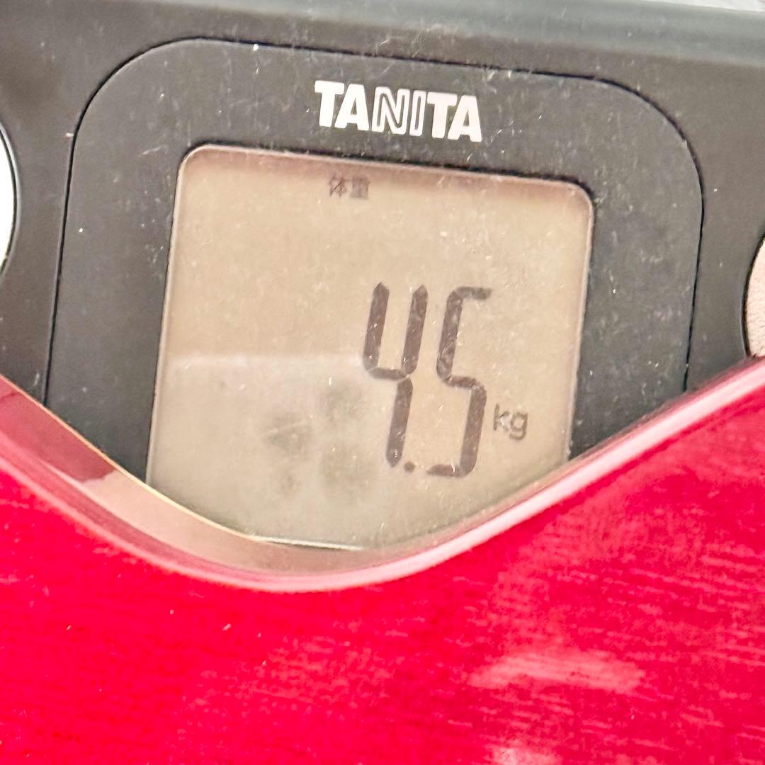 グレコ「EG700」レスポールスタイル 1978年製