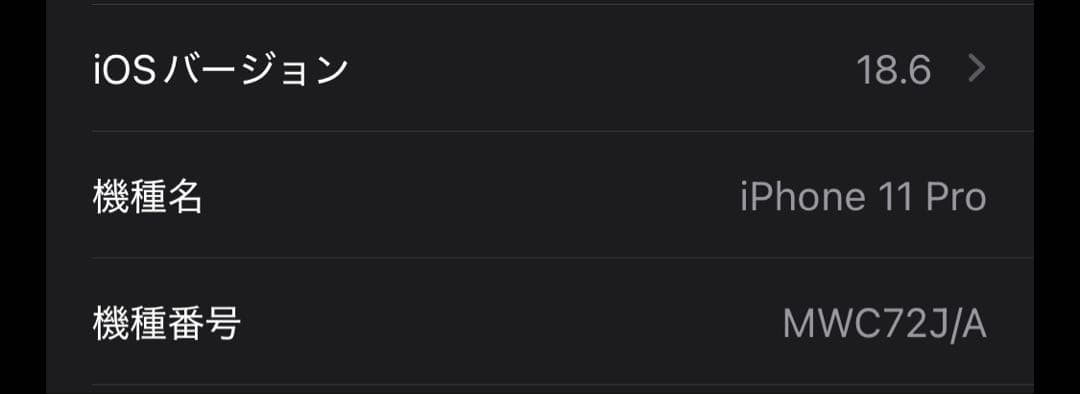 【即日発送】Apple iPhone 11 Pro 256GB スペースグレー