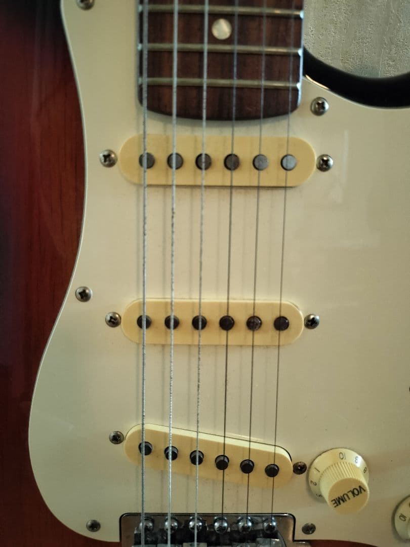 ソフトカバー付きエレキギターFERNANDES
