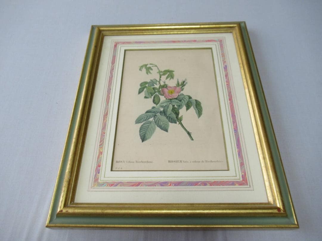 美品 三越発売 定価3万額装◆1835年 ルドゥーテ バラ図譜 ボタニカルアート