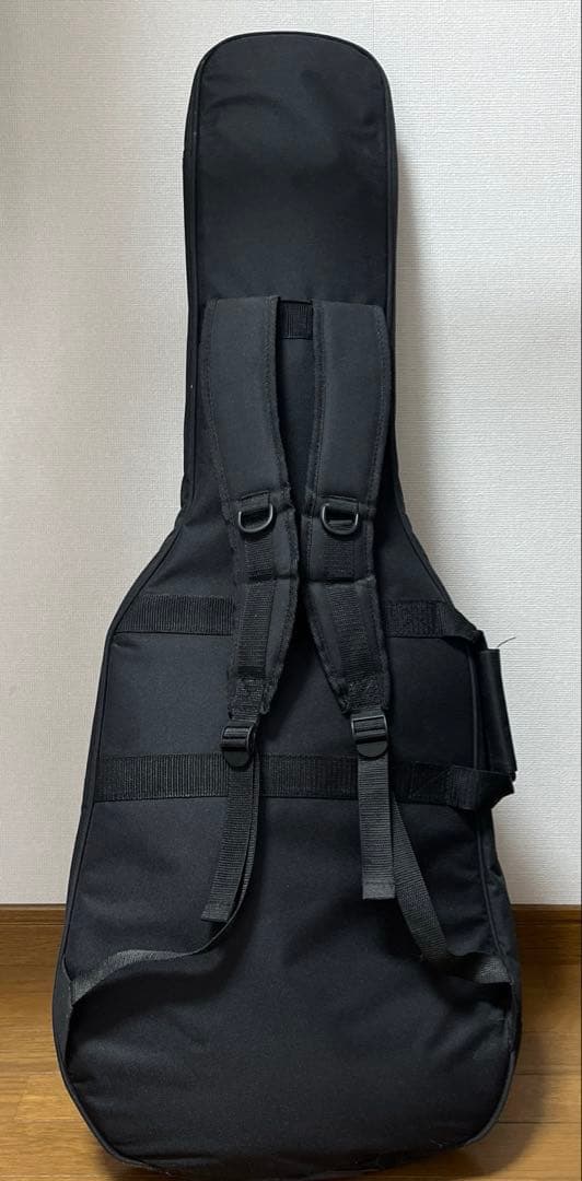 coolz エレキギター(付属品付き)