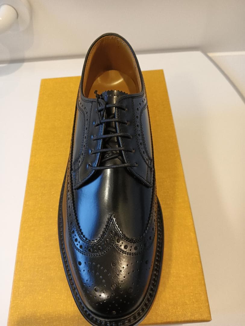 新品未使用 REGAL ウィングチップ 25cm 2589N