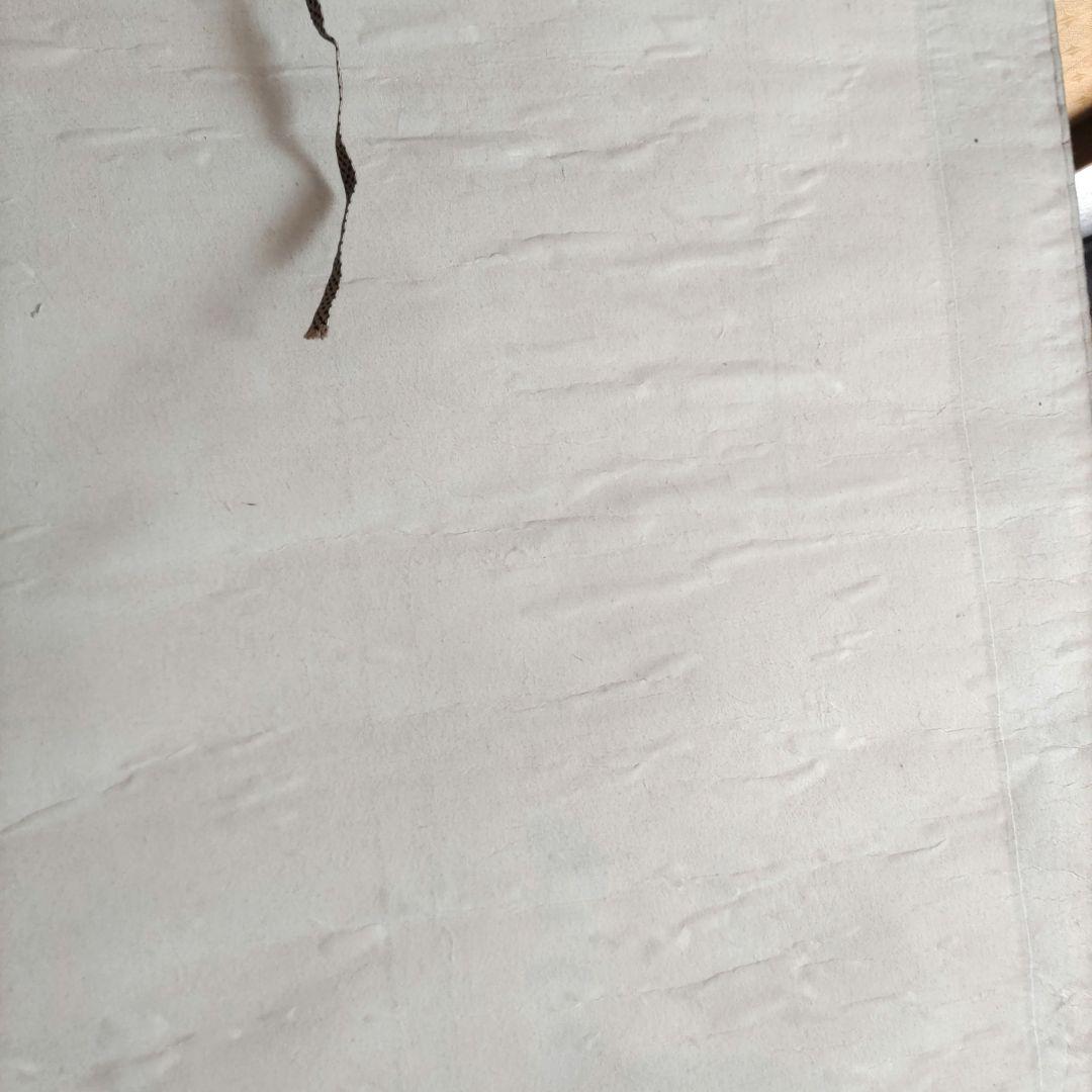 猛虎掛軸　翠石　Y281