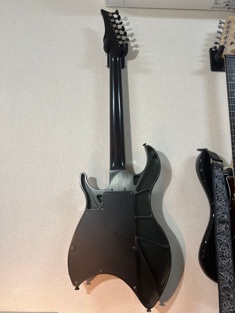 ギター EVO 0202z