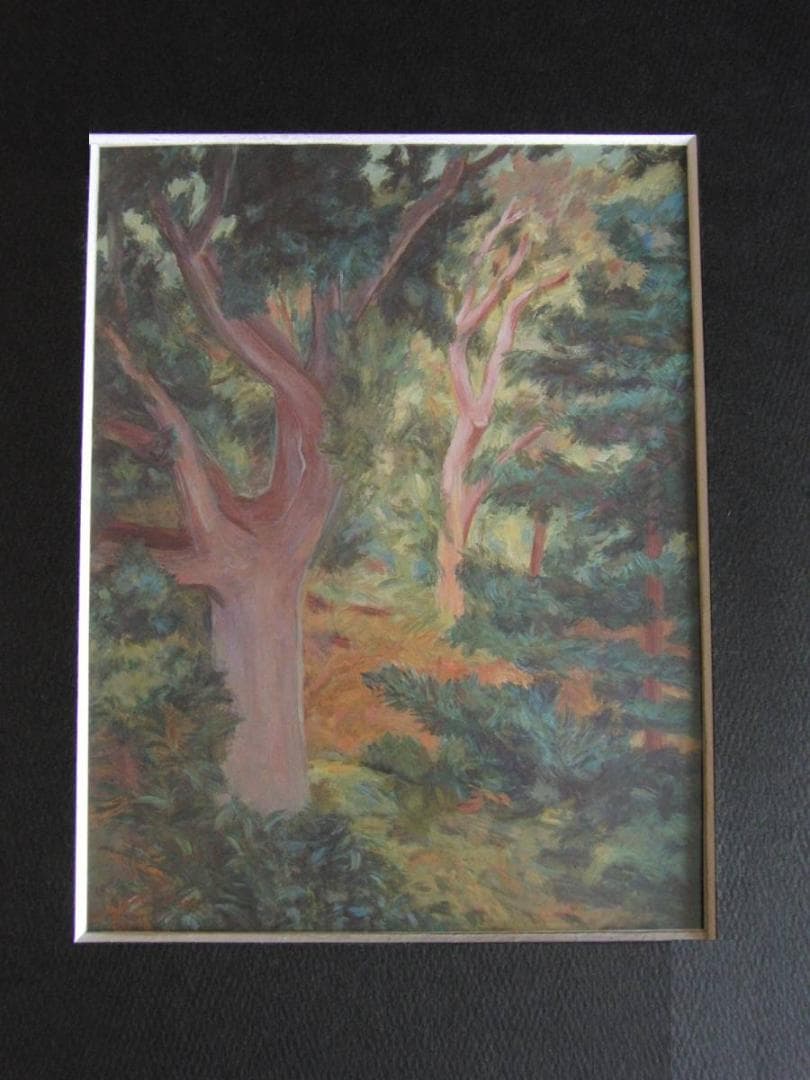 中谷貞彦、【樹影】、希少な額装用画集より、新品額装付