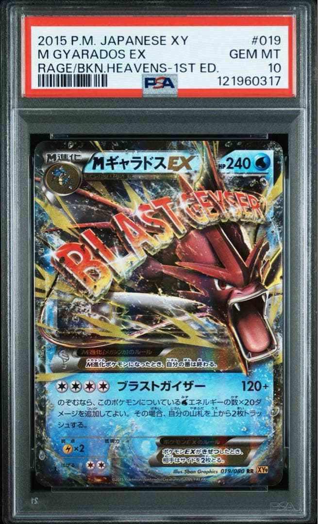 PSA10 MギャラドスEX 019/080 RR XY9 Gyarados