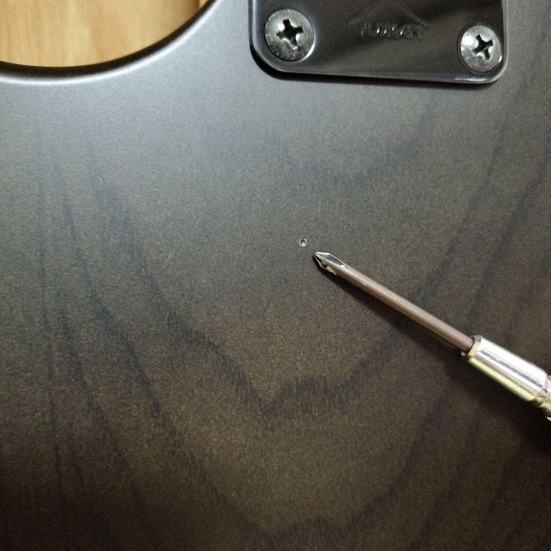 ギター FGN FUJIGEN JIL-ASH-DE664-M EMG