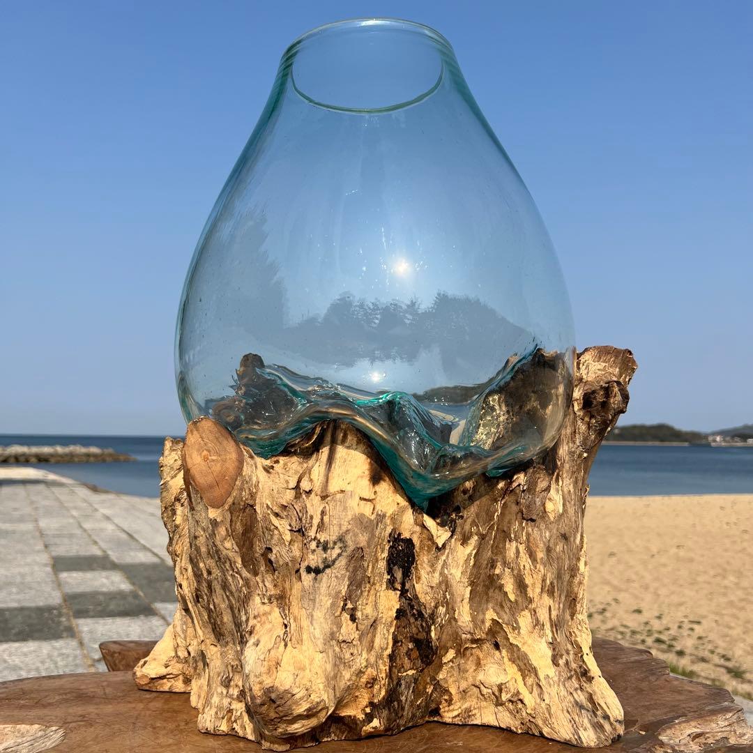 デッカい流木ガラスオブジェWC 花瓶 金魚鉢 水槽 苔リウム メダカ容器 超大型