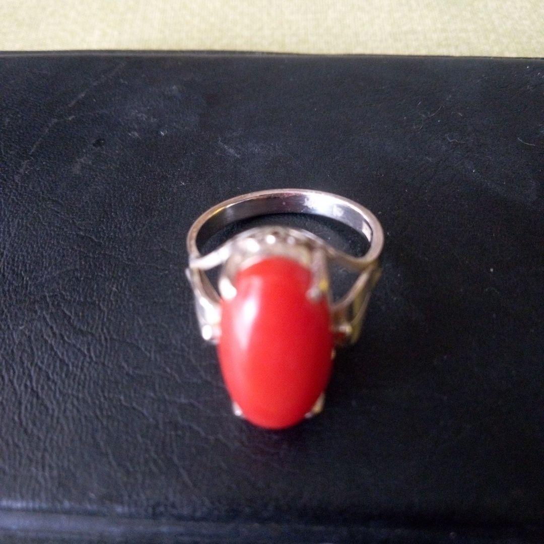 赤珊瑚K14WG指輪