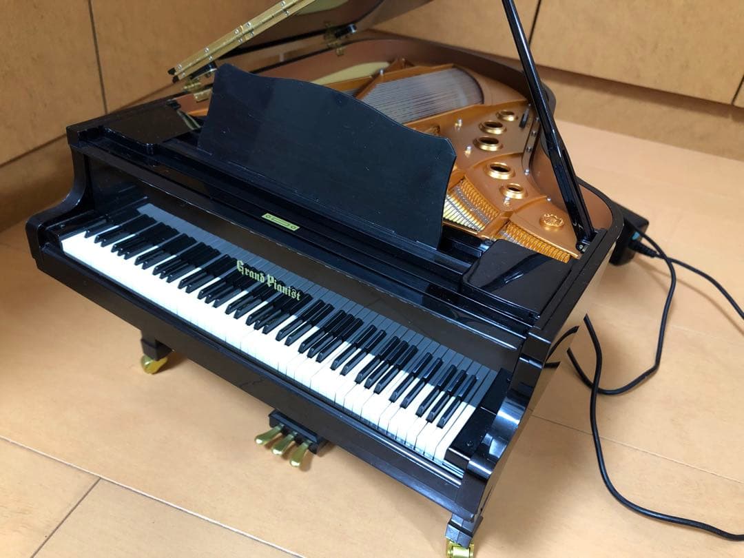 カッパGrand Piano 88鍵 ブラック　セガトイズ