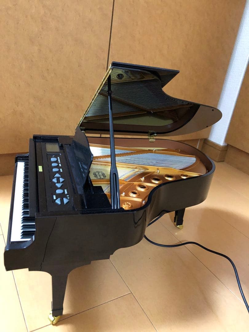 カッパGrand Piano 88鍵 ブラック　セガトイズ