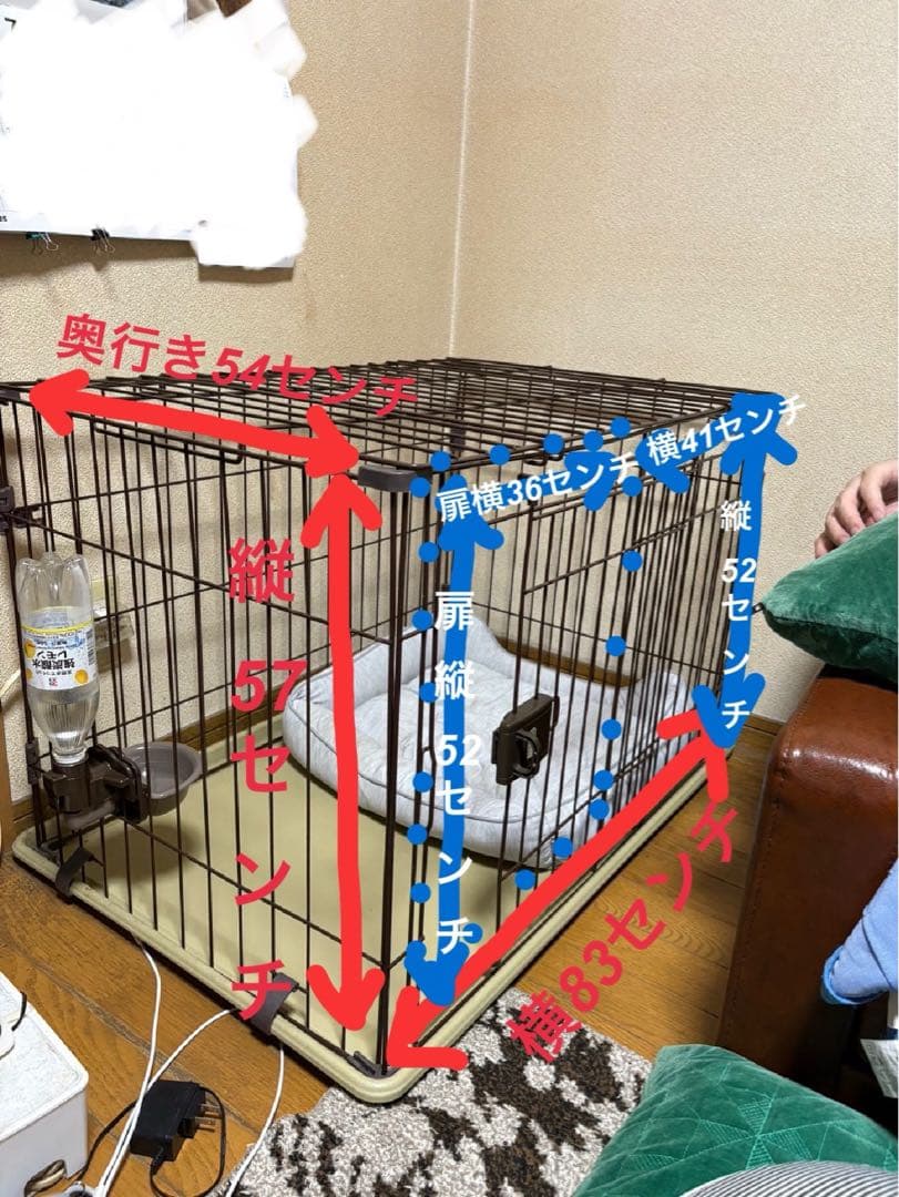 確認用写真