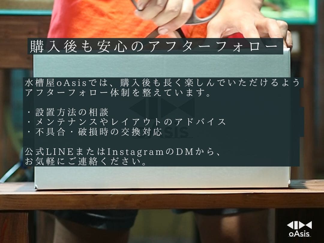 アクアリウム 流木 レイアウトセット 60cm 熱帯魚・水草水槽用