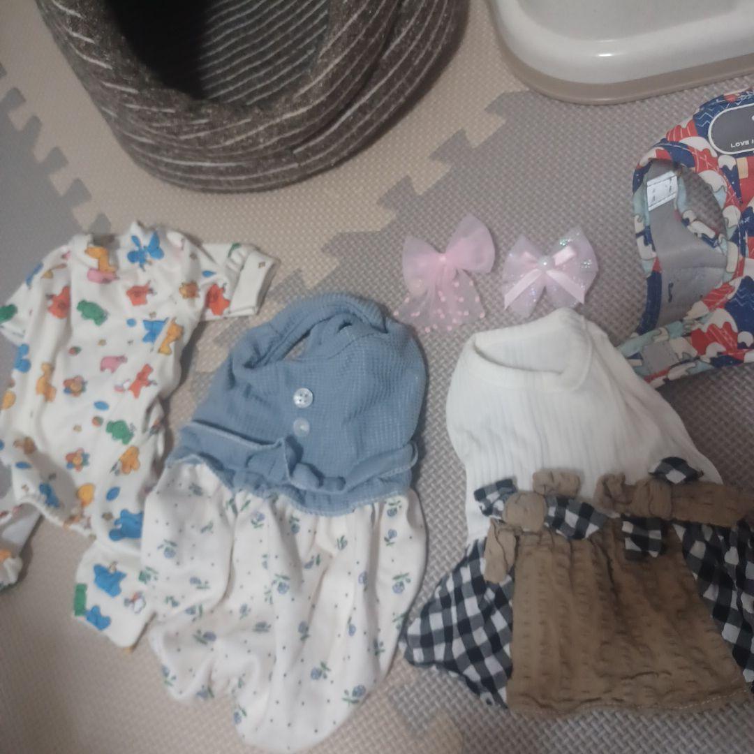 子犬セット