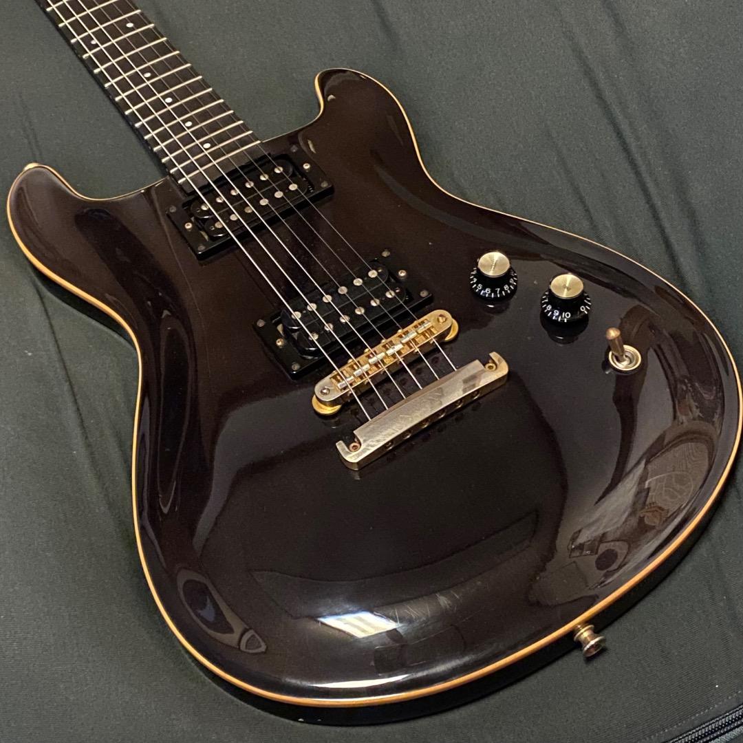 フェルナンデス APG-100 USAカスタム エボニー指板 改造有