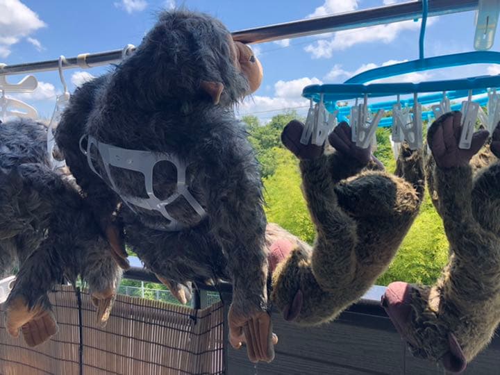 ジャンボ オラウータぬいぐるみ 2匹セット