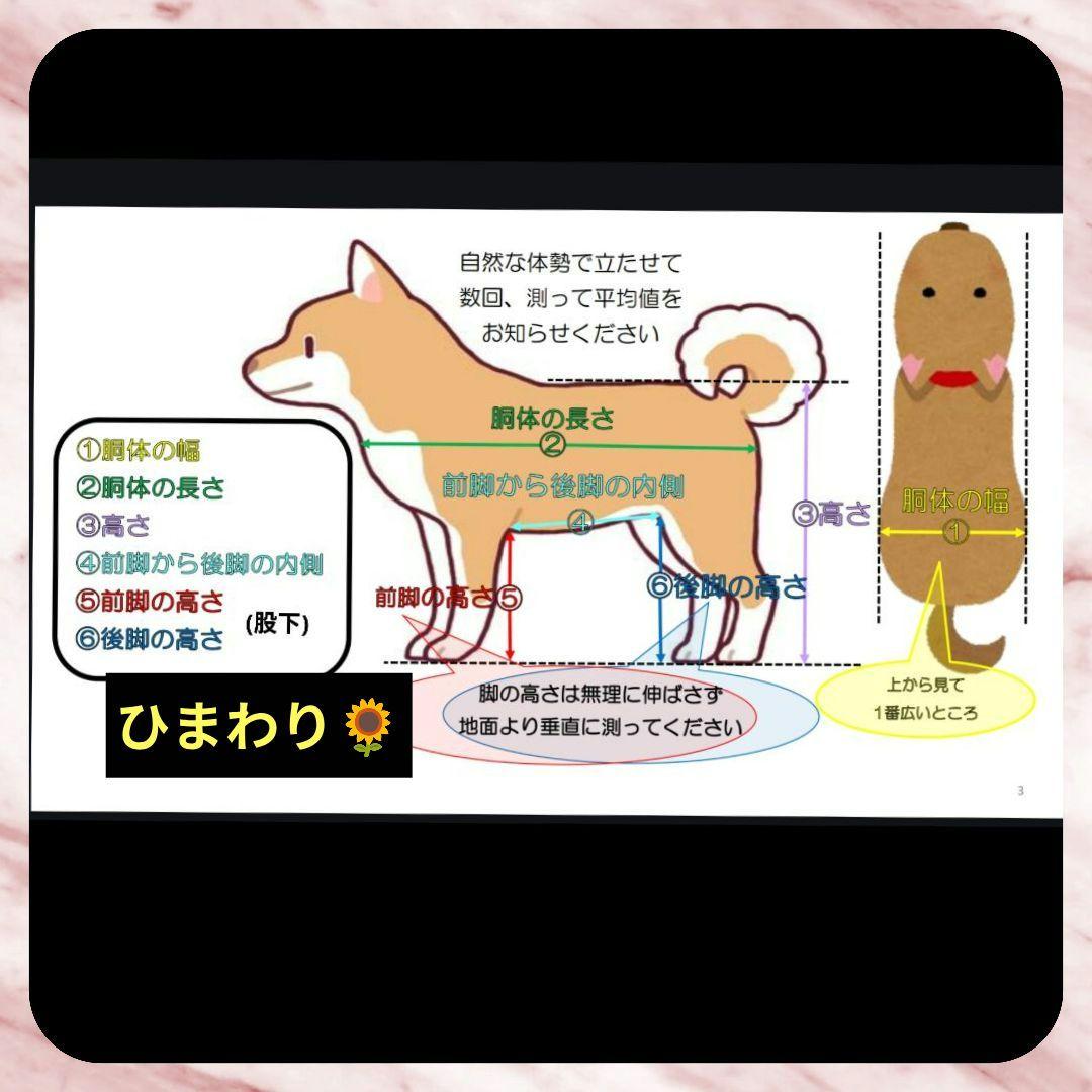 ワンちゃん4輪　リハビリ　食事補助　犬用車椅子　介護用品　犬の歩行器