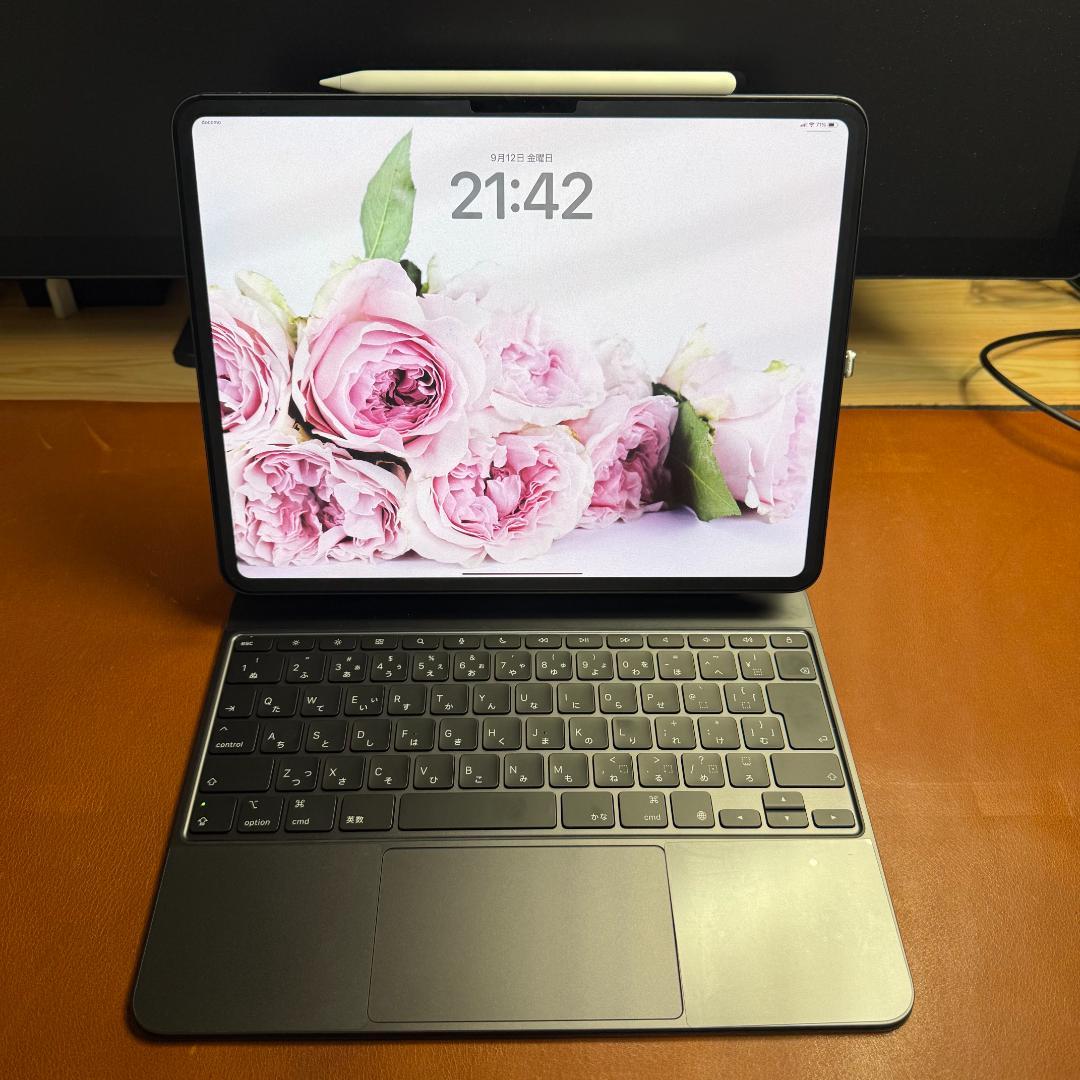 【３点セット！】M4 iPad Pro 13 1TB セルラー SIMフリー