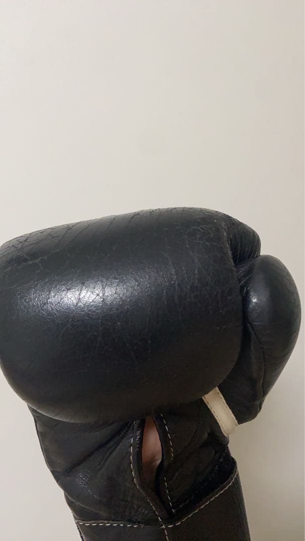 ウィニングボクシンググローブ8オンスマジックテープ