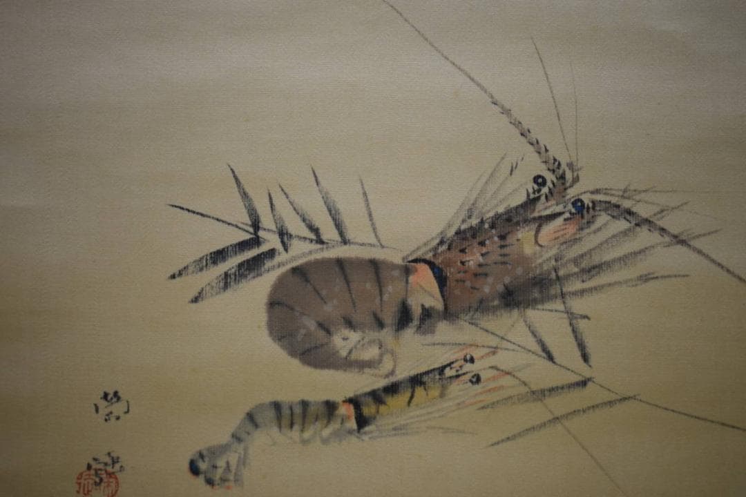 真作/小山栄達（画）/中村不折（賛）/海老画賛/絖本/布袋屋掛軸HE-424
