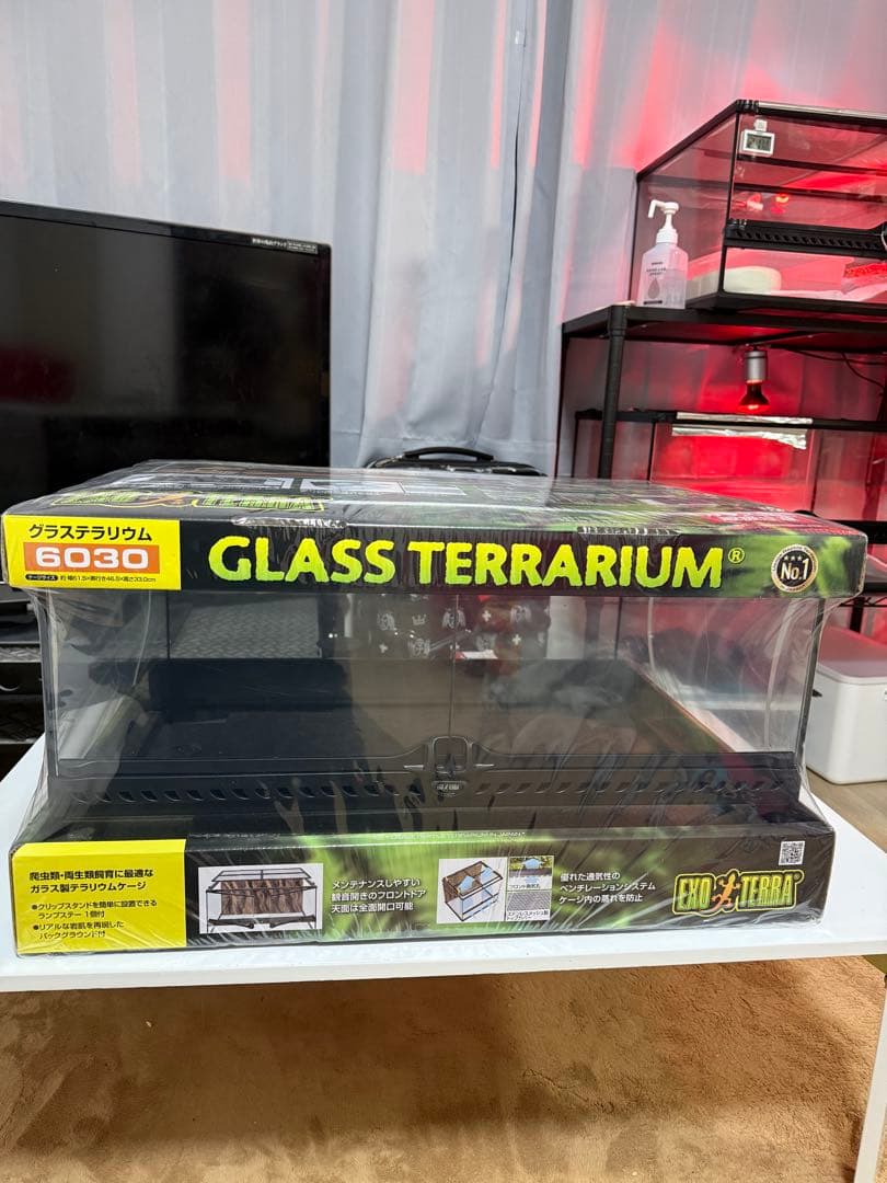 GLASS TERRARIUM 6030 グラステラリウム 6030 新品未使用