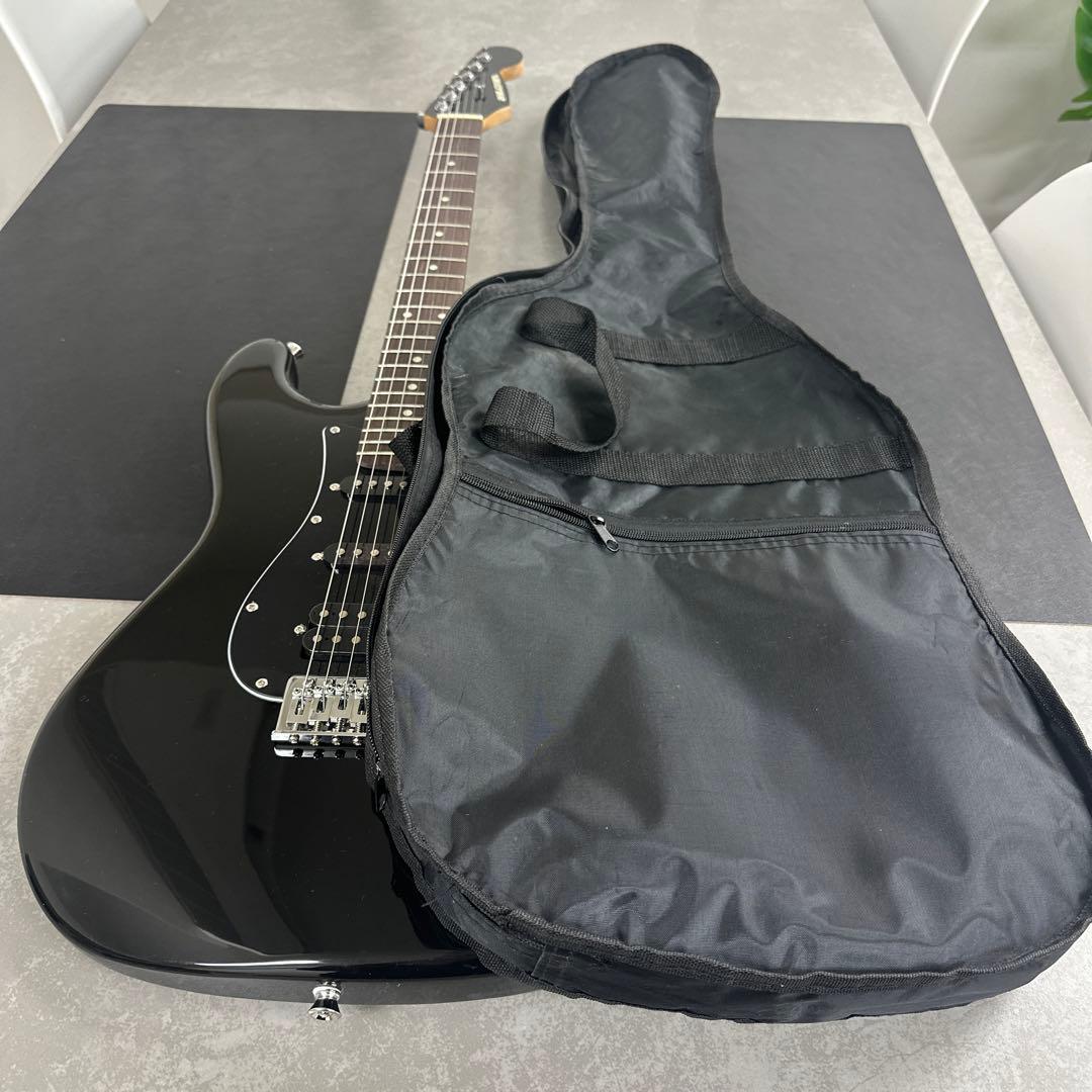 SELDER ストラトキャスタータイプ　ミラーピックガード