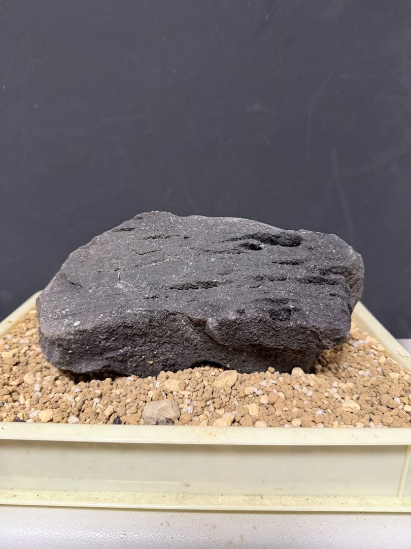 ⑦-7 ADA山水石 組み合わせ！これオススメ！