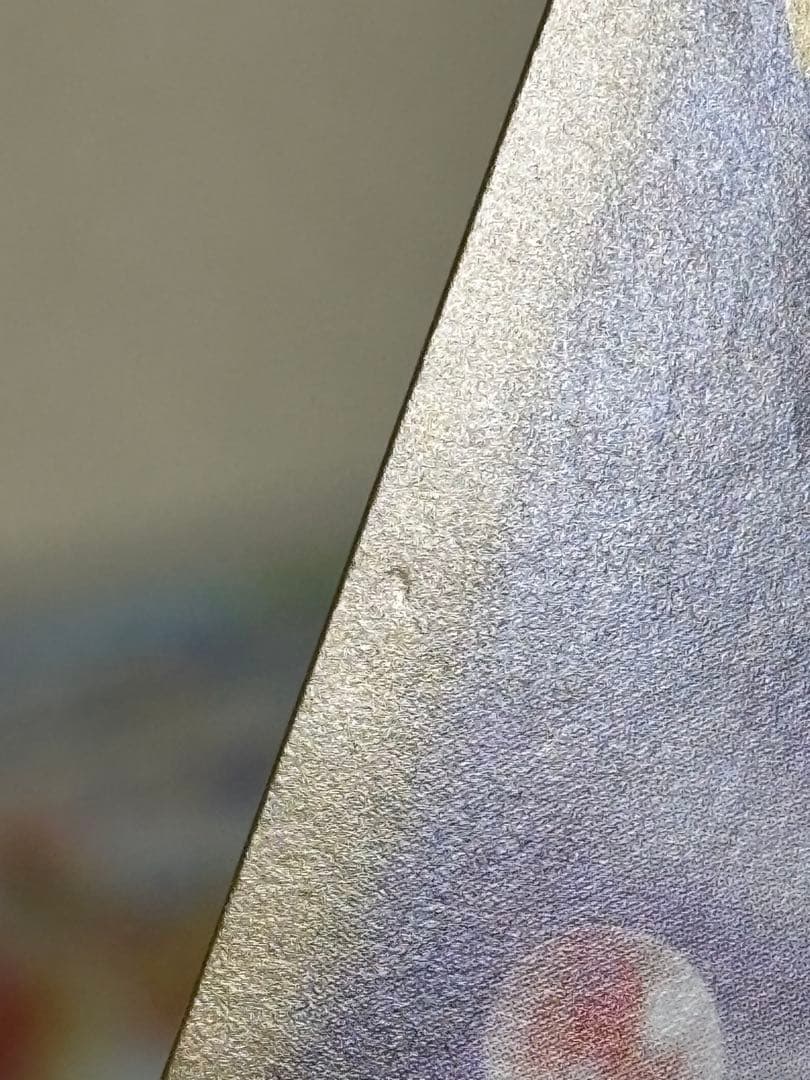 テラスタルフェス ブイズ SAR 9枚 未開封カード まとめ売り 引退品