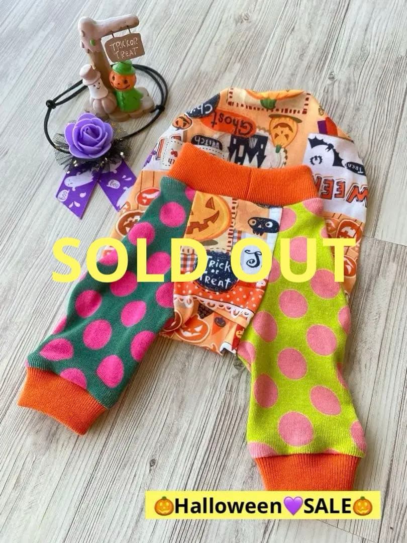 犬服  ラグラン(Ｓ)   ꒡̈⃝Lily꒡̈⃝ハンドメイド