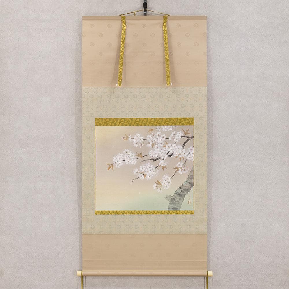 ※Tsutsuzi Sato　掛軸 横幅 水越由喜「桜」共箱