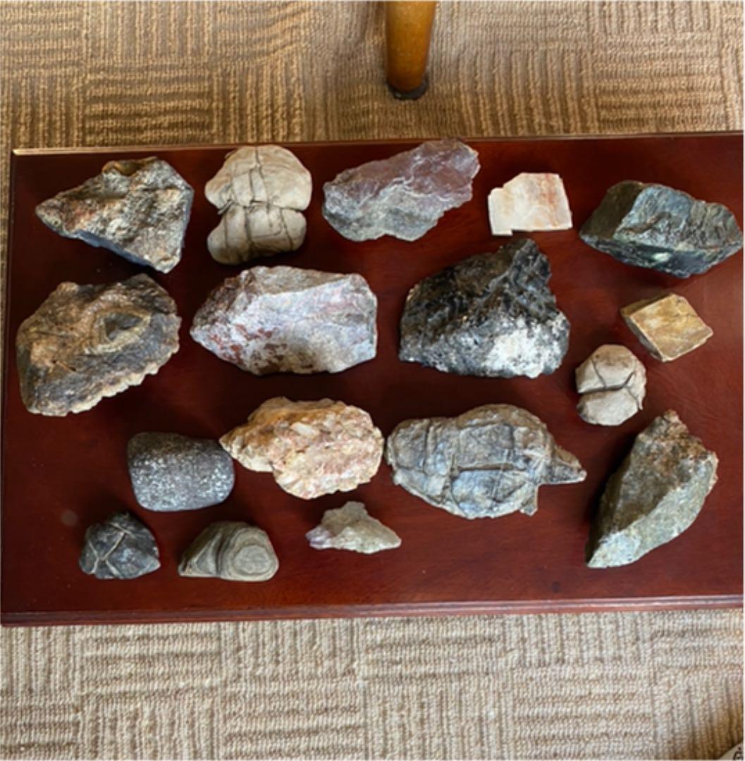 鑑賞石