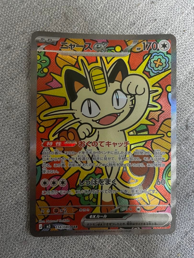 ニャースSAR