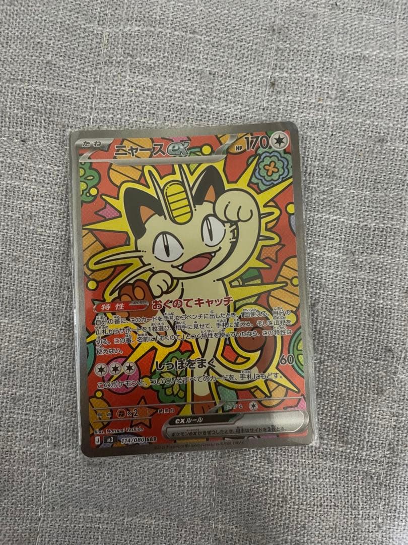 ニャースSAR