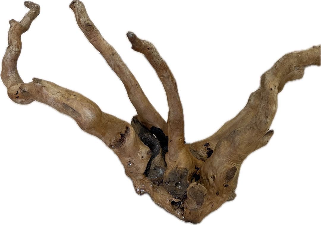 水槽用流木 大きめ 自然な枝状