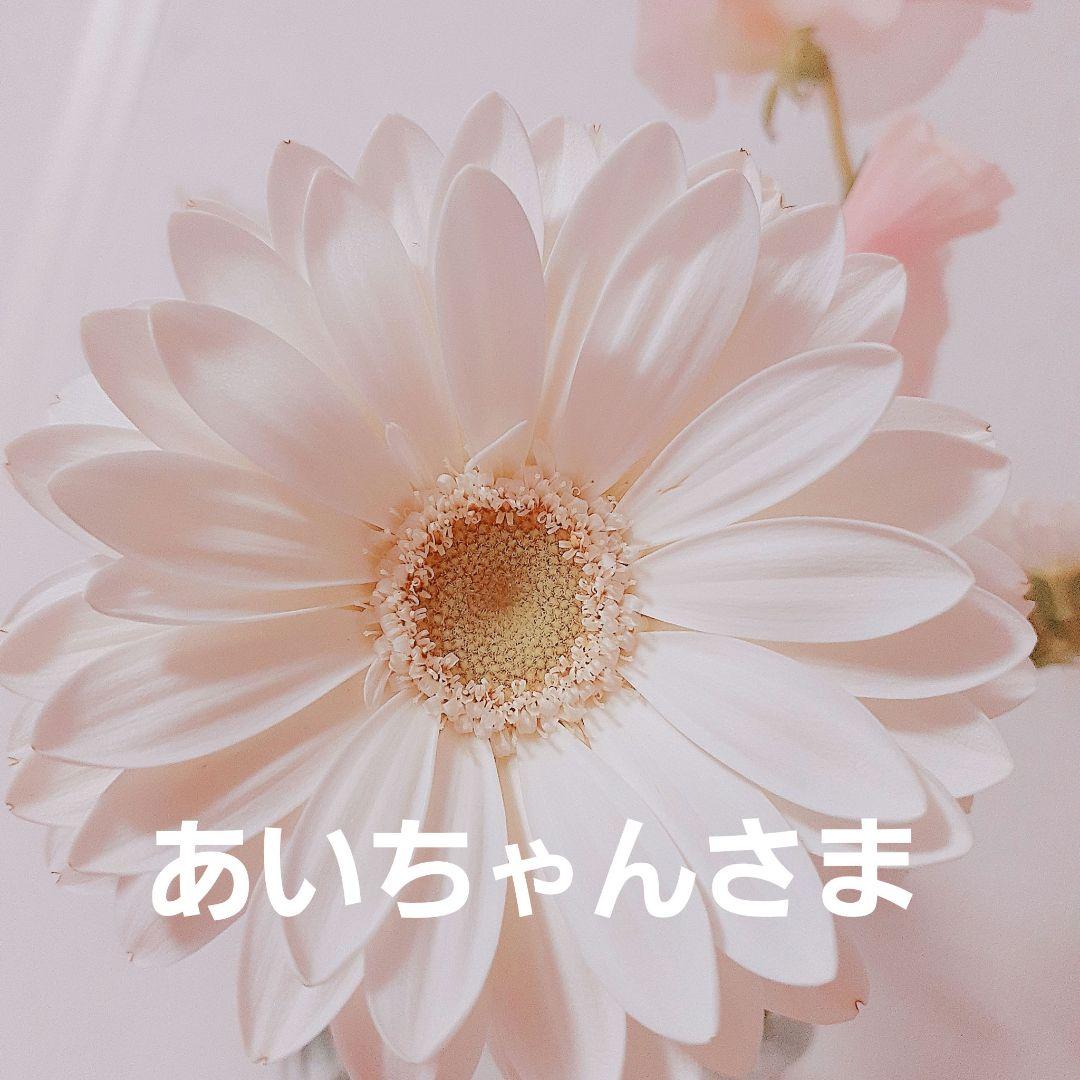 あいちゃん様
