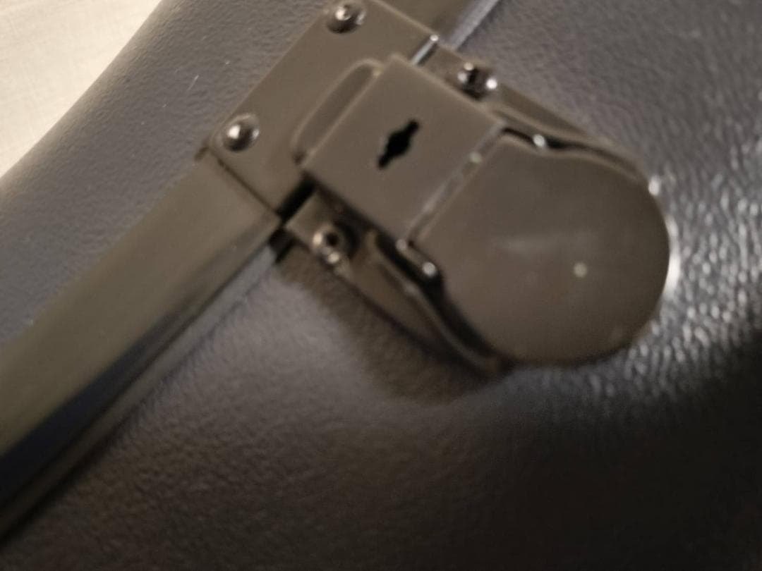 ☆セルマー　アルトサックス用 フライトケース Selmer