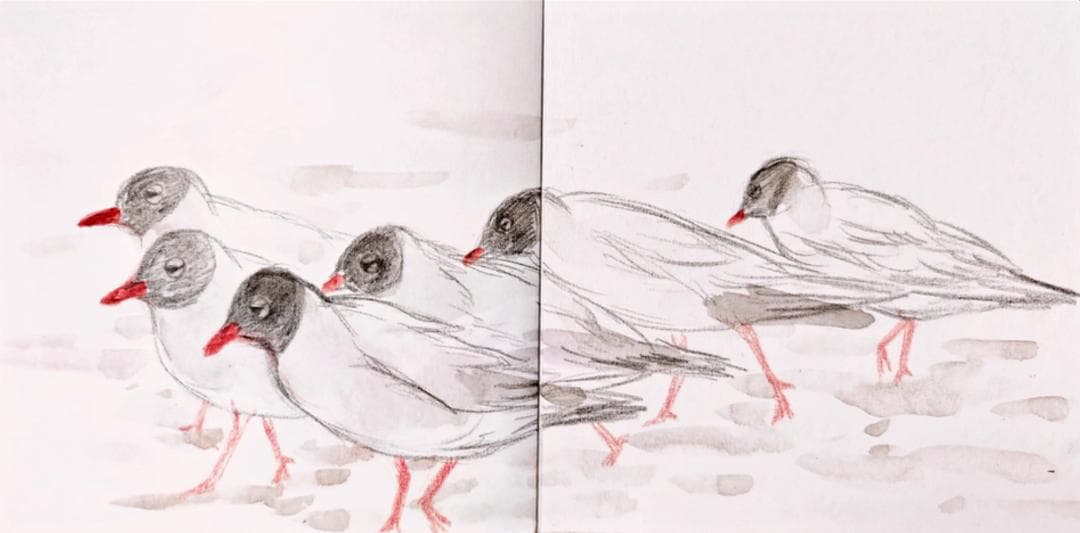 色鉛筆48色-うさこ様-12セット