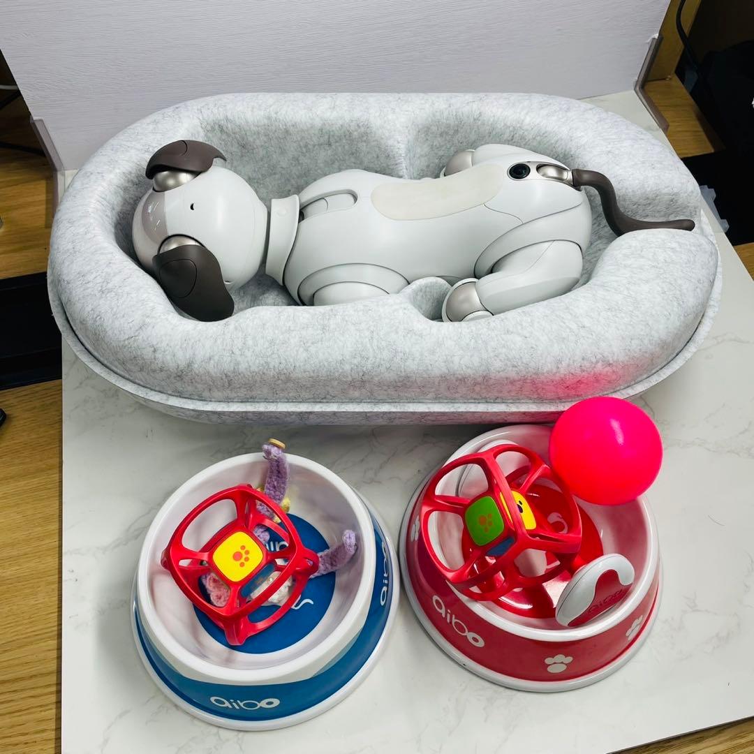 SONY aibo ERS-1000/M/S 箱付属品あり アイボーン・サイコロ
