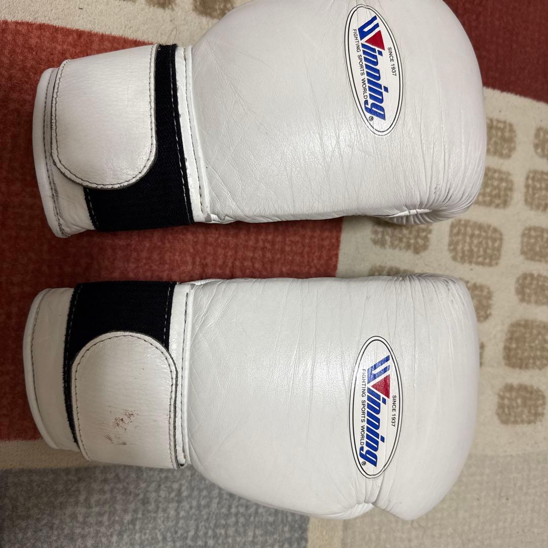 ウイニングボクシンググローブ12オンス　得点王
