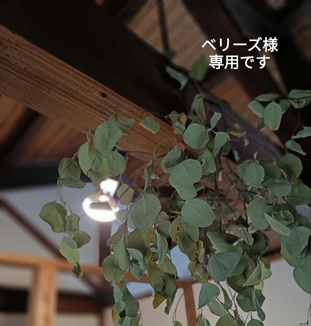 ベリーズ
