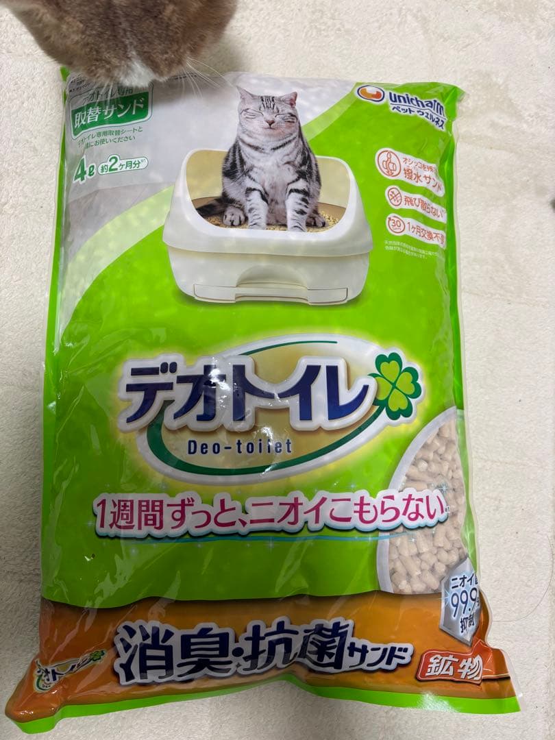 猫砂