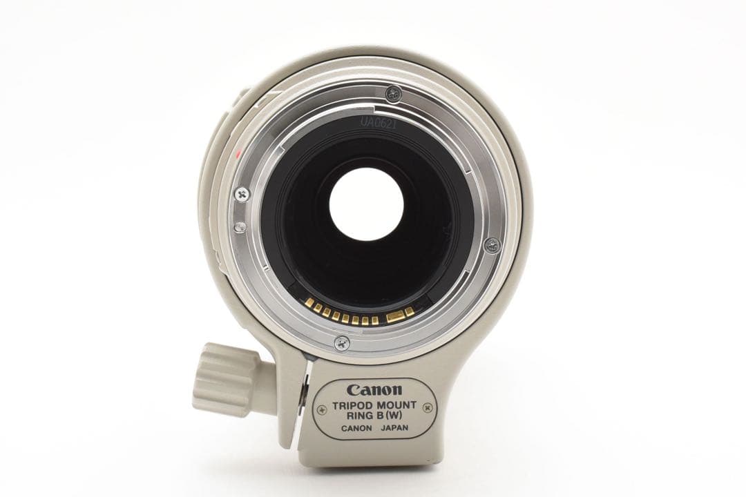 【美品】CANON EF100-400mm F4.5-5.6L IS USM