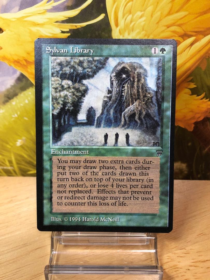 MTG 森の知恵