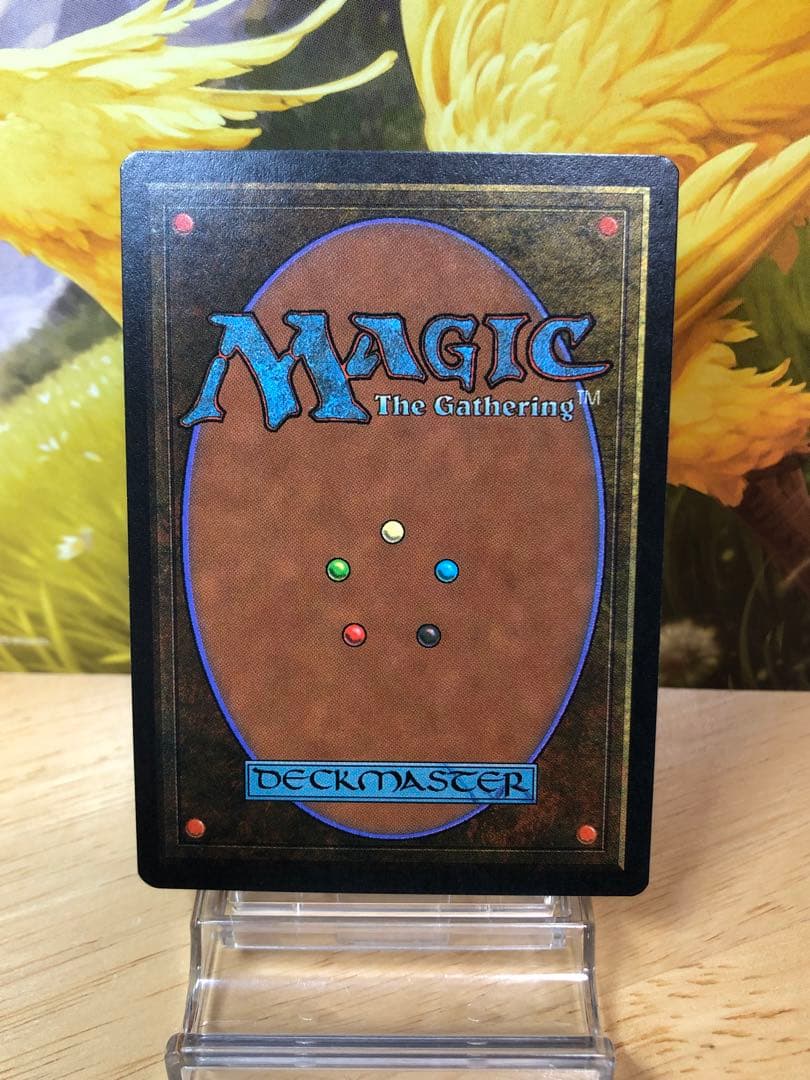 MTG 森の知恵