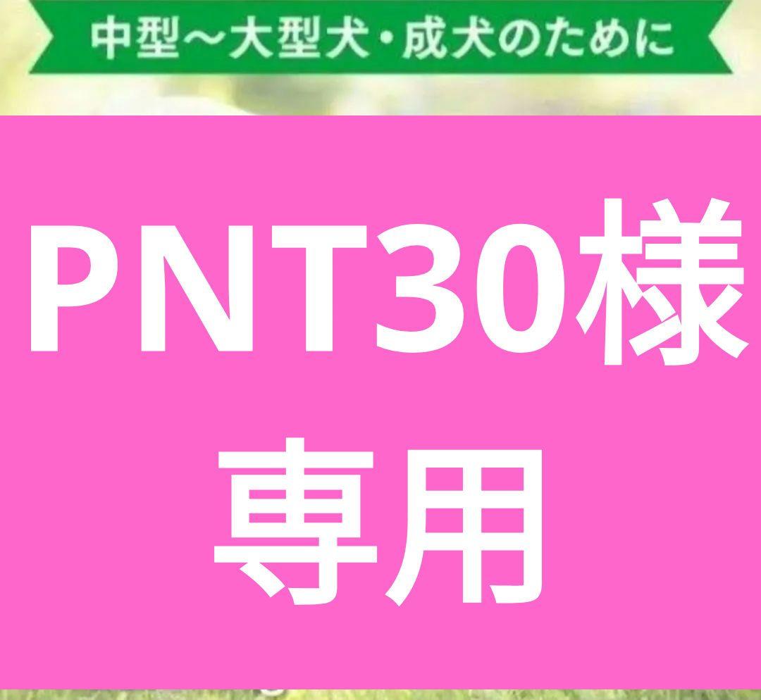 ニュートロナチュラルチョイス ラム＆玄米 中型犬 大型犬 成犬用 14kg