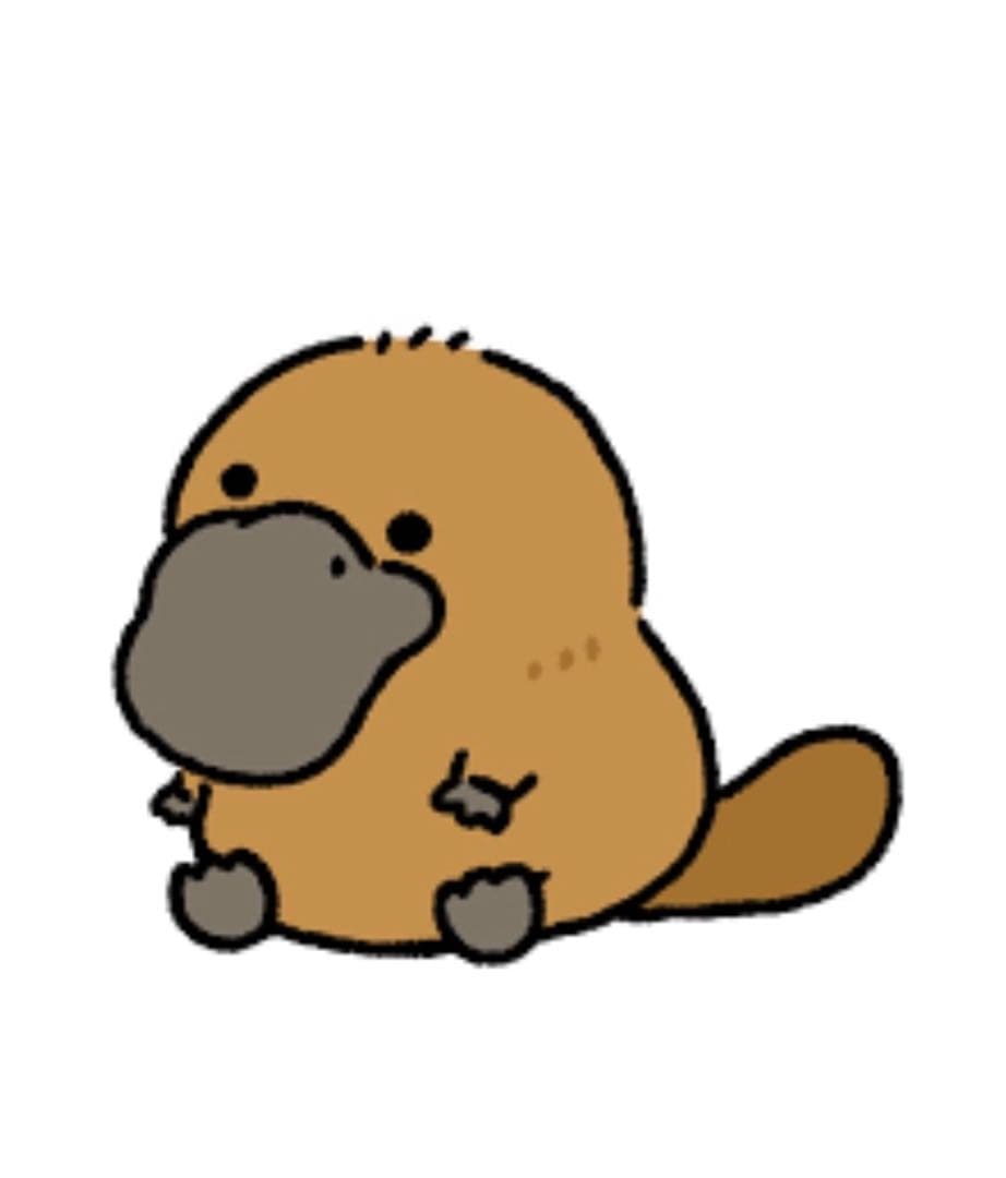 ラフェリ