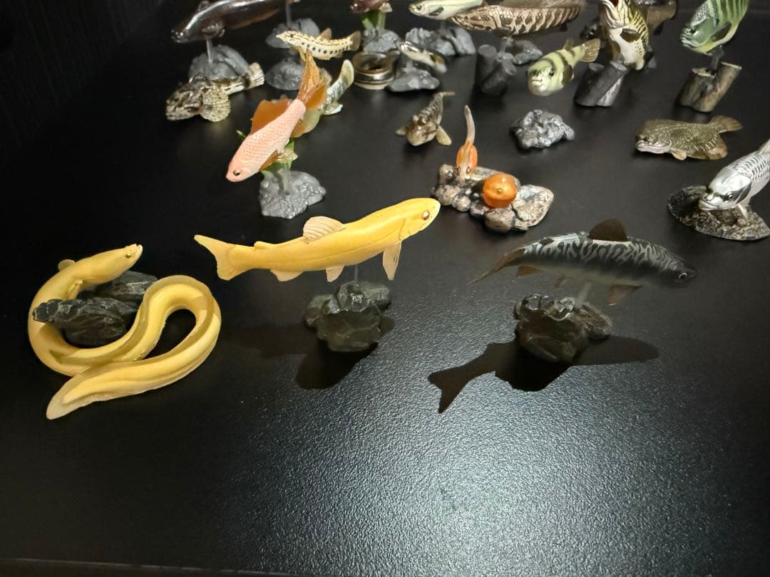 原色淡水魚図鑑