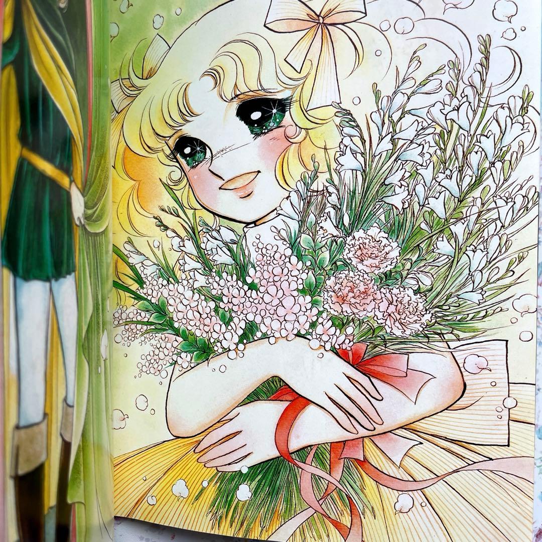 【絶版】キャンディキャンディ　愛蔵版　全巻セット