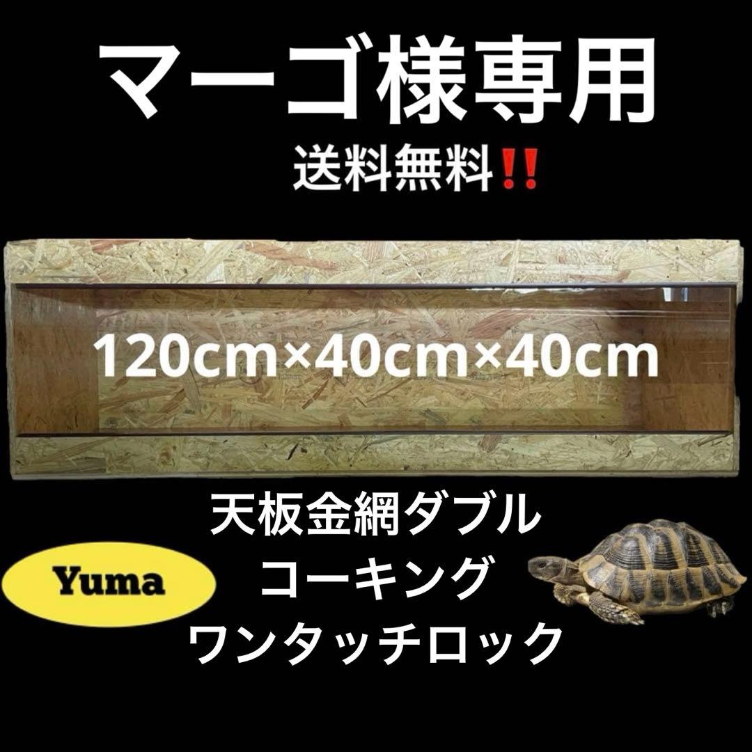 マーゴ　1204040
